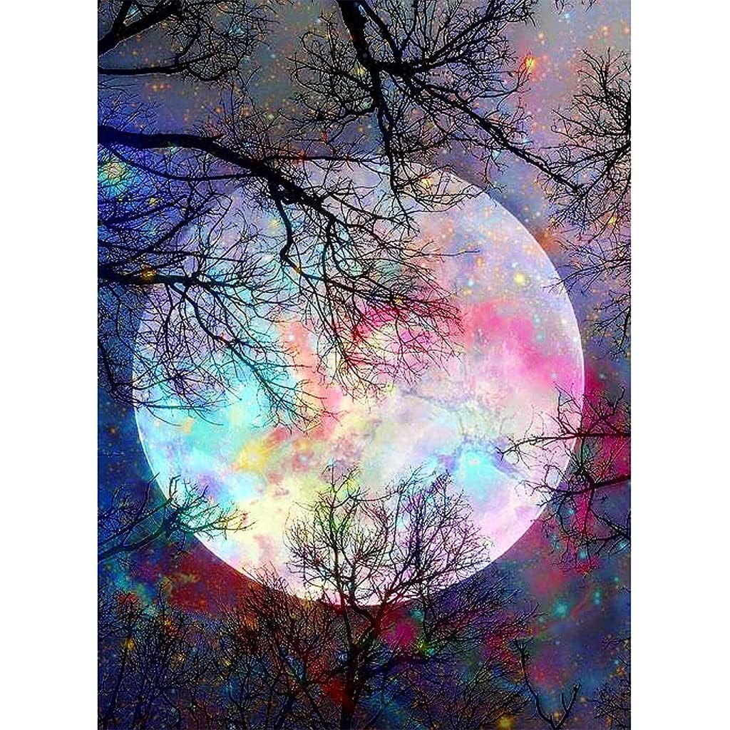 5D Diamond Painting Kit (Moon)