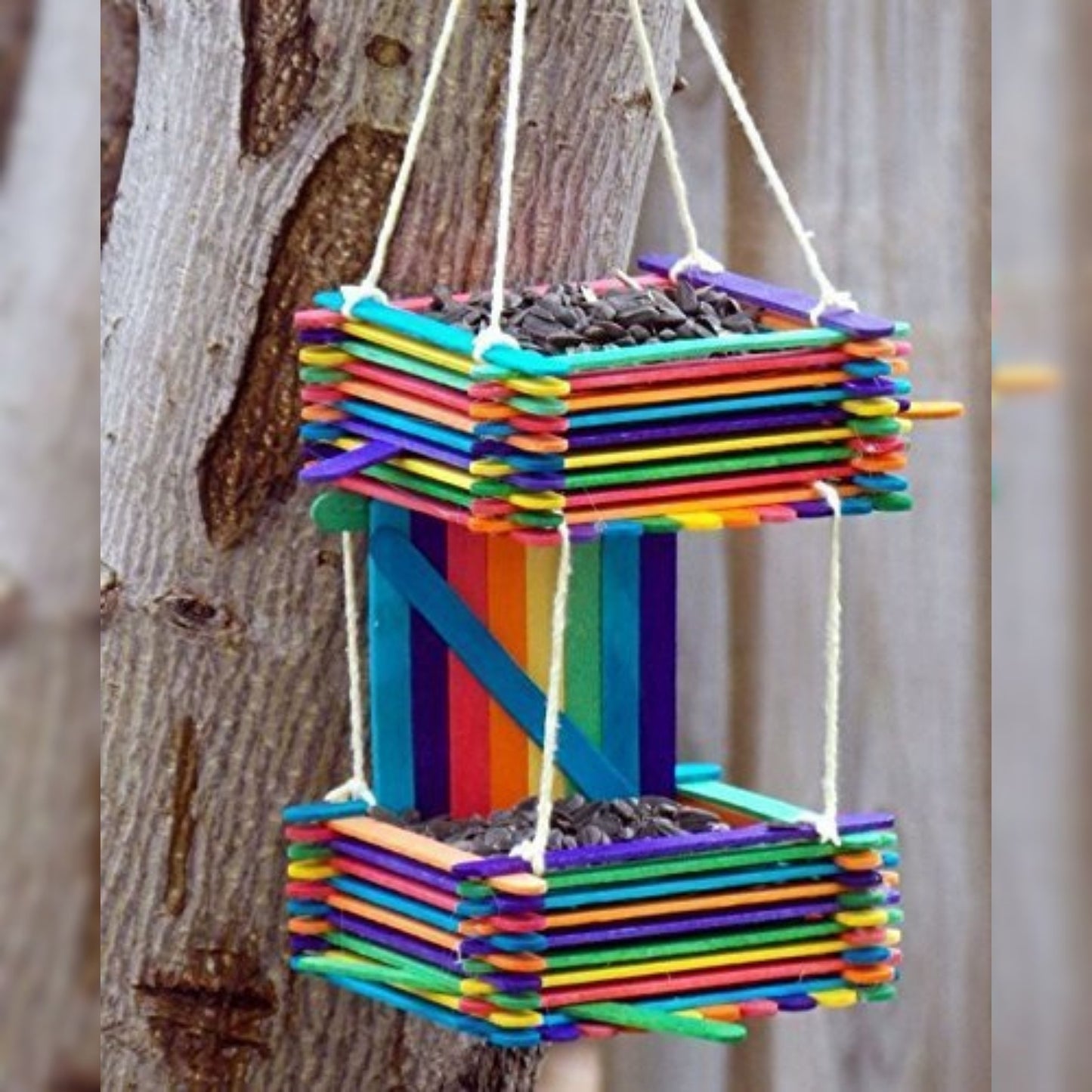 Ice Cream Sticks Colored | 50 Sticks