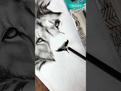 Apsara Assorted Drawing Pencils